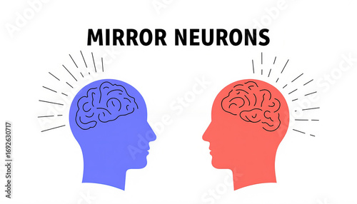Illustration showing two heads with brains, labeled 