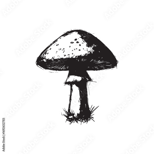 Mushroom Vector (1).eps