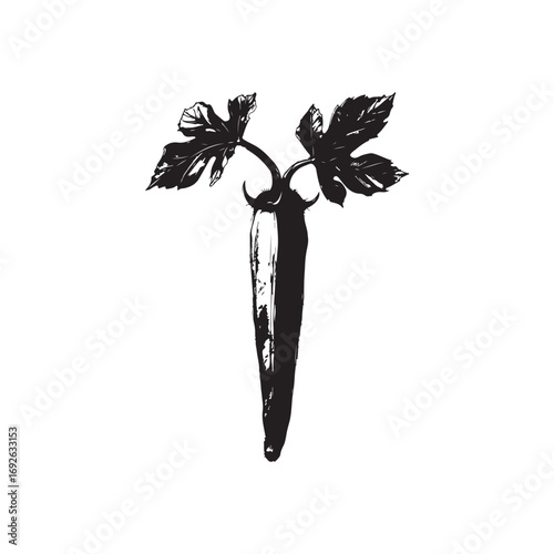 Okra Vector (3).eps