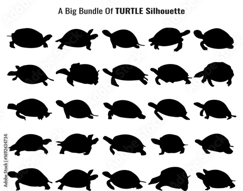 Collection of Twenty Four Turtle Illustrations in Black Silhouette Style on a White Background silhouette collection twenty