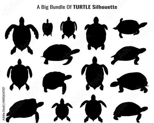 Collection of Turtle Silhouettes Diverse Sea Turtle and Tortoise Shapes in Black and White silhouette set various