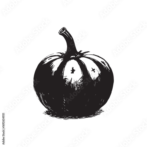 Squash Vector (2).eps