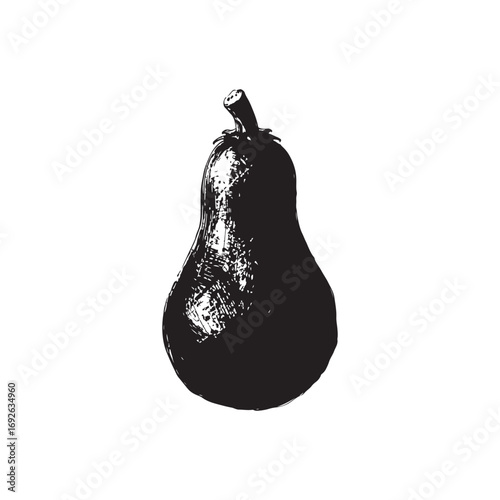 Squash Vector (4).eps