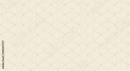 Intricate geometric pattern of intersecting lines and circles on a pale cream background