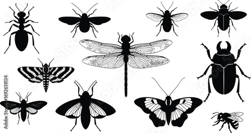 Collection of diverse insect silhouettes, including a dragonfly, ants, moths, and beetles, set against a white background.