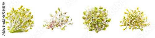 Close Up Of Four Small Broccoli Florets isolated on transparent background.