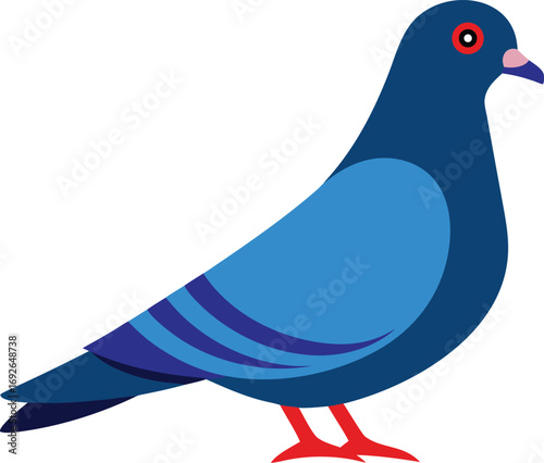 Pigeon vector icon on white