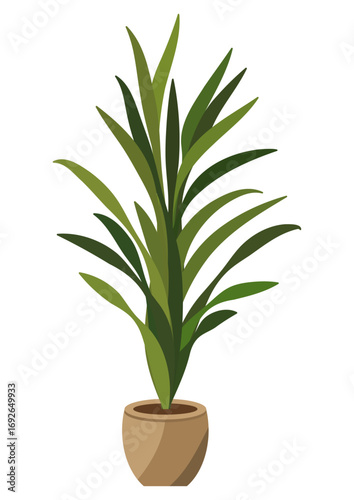 Tall green houseplant with long leaves in a simple pot. Interior decoration element for home and office. Isolated item on white.