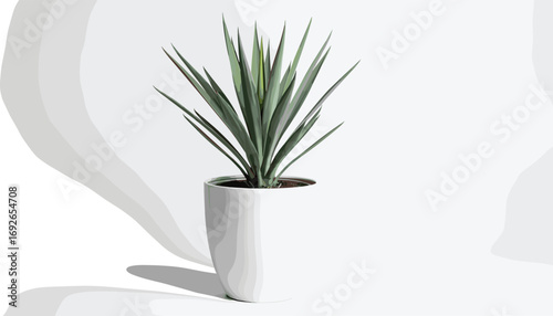 Agave houseplant with spiky green leaves in modern white ceramic pot on minimalist background for vector botanical interior design content