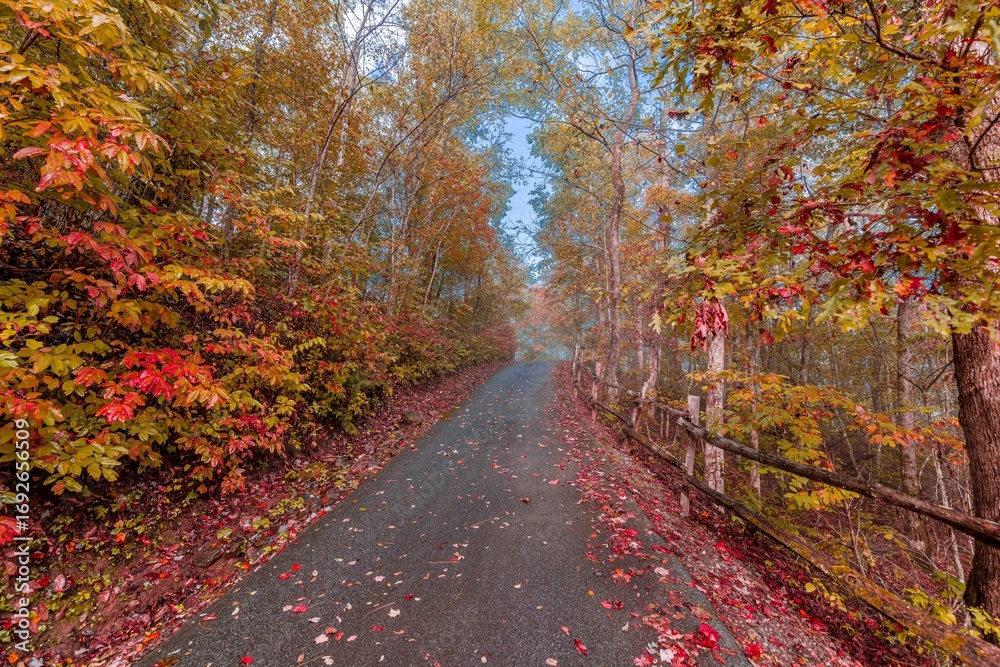 Obraz premium fall in mountains