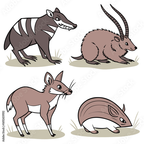 wild animals collection