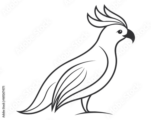 Stylized black and white cockatoo bird illustration