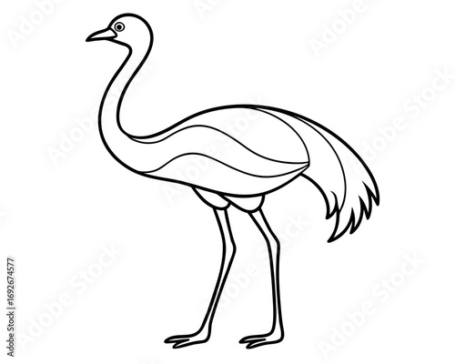 Simple line drawing of an ostrich standing profile view