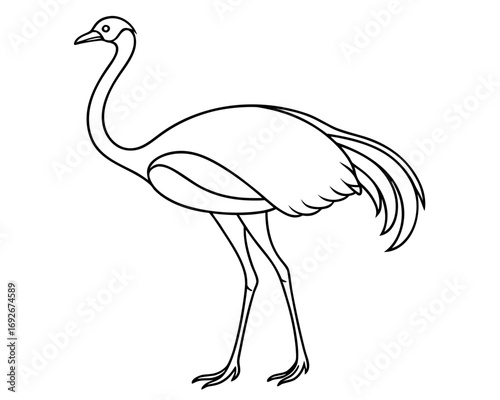 Simple line drawing of an ostrich standing profile