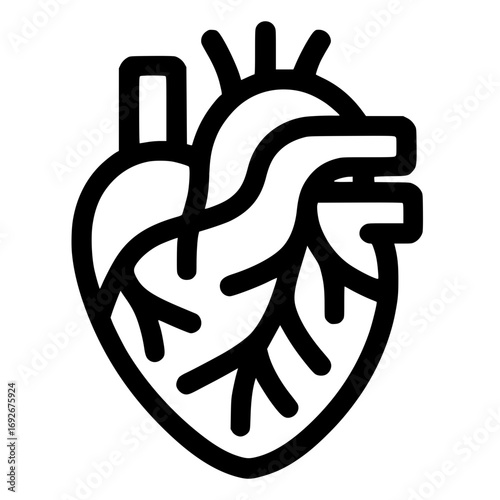 Human heart internal vector image illustration