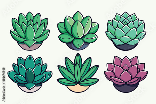Collection of six colorful potted succulent plants in a top down view illustration