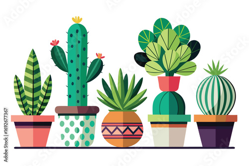Collection of various potted desert succulents and cacti in colorful decorative pots on a shelf