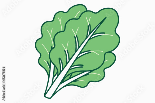 Bunch of Green Leafy Vegetables with Outline on White Background leaves salad
