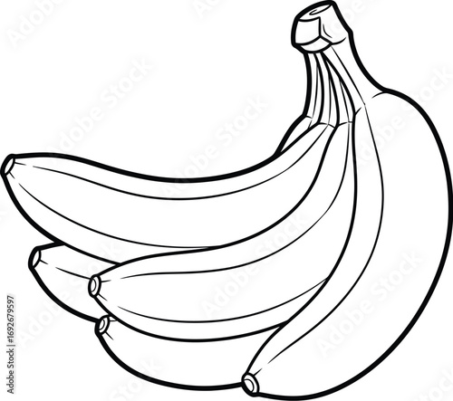 Banana bunch outline illustration for coloring page design