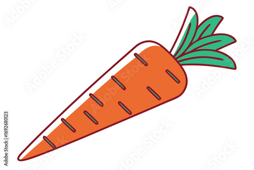 Cartoon Orange Carrot with Green Leaves on White Background vegetable food