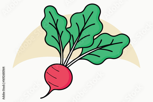 Cartoon Radish with Green Leaves and Yellow Arc Background root vegetable