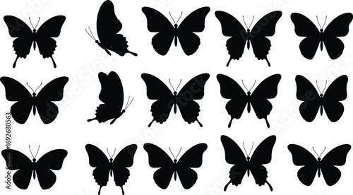 Collection of black silhouette butterflies in various poses and shapes, ideal for nature-themed and decorative vector designs.