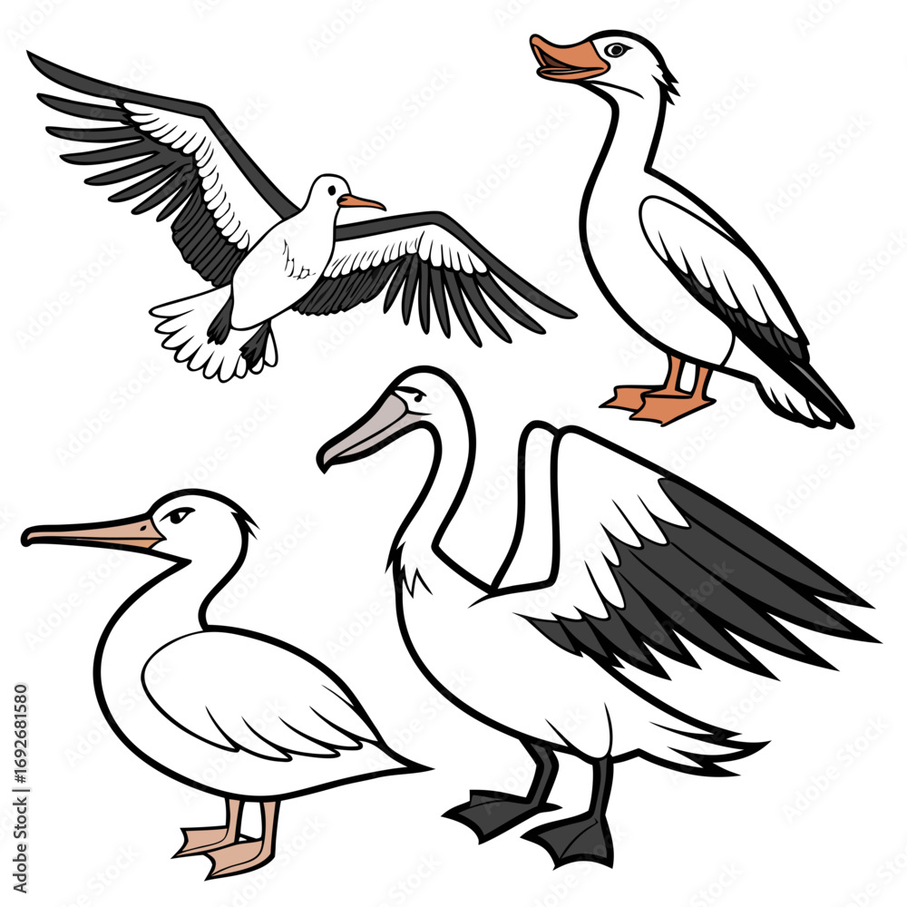 Fototapeta premium vector illustration of a pair of birds