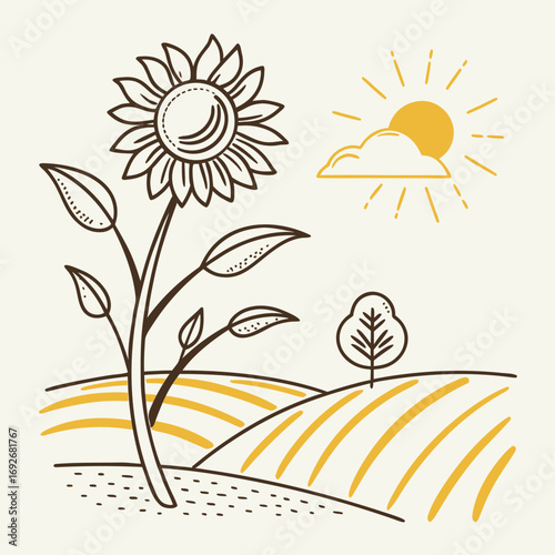 Hand drawn sunflower on the field illustration