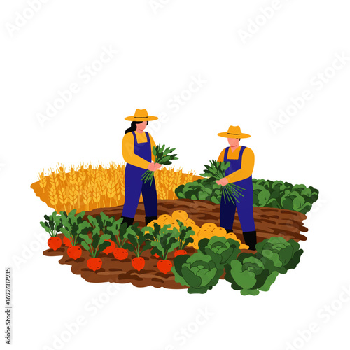 Two farmers in overalls and straw hats harvest vegetables in a field, including carrots, potatoes, and cabbages, with wheat in the background.