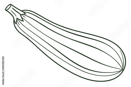 Dark green outline drawing of a zucchini on white background Keywords: zucchini, squash, vegetable
