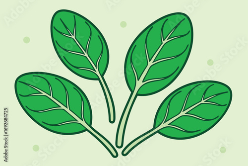 Four Green Spinach Leaves with Veins and Light Green Dots vegetable healthy