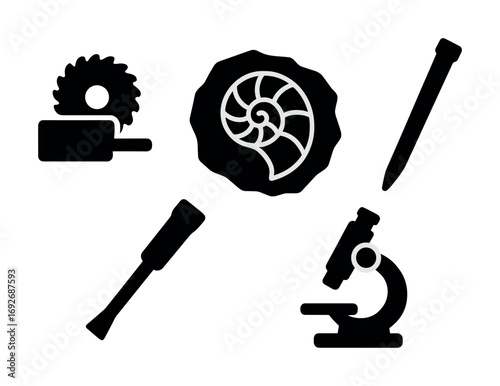 Fossil excavation tools and microscope illustration with ammonite fossil