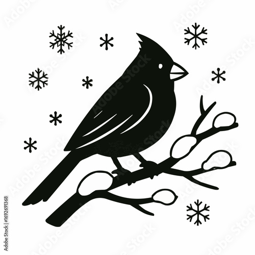 A wild blackbird in silhouette with a detailed wing and beak sits on a winter branch