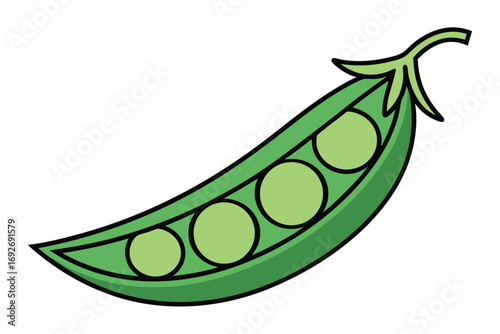 Open Pea Pod with Four Green Peas on White Background vegetable food