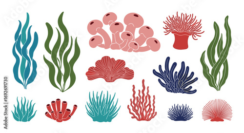 Colorful underwater coral reef marine life seaweed and anemone collection