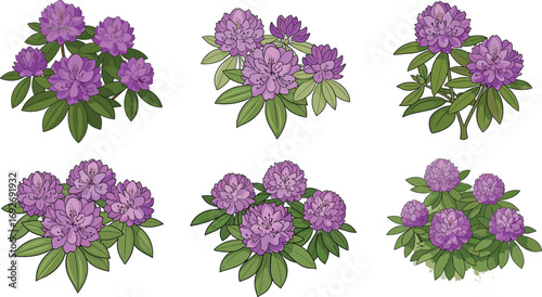 Purple flowering plant vector set, botanical bloom illustration bundle, green leaf design asset, stylized nature clipart, floral cluster variations