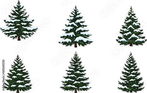 Snow-covered evergreen tree vector set, winter forest clipart bundle, conifer illustration asset, stylized foliage design, seasonal nature artwork