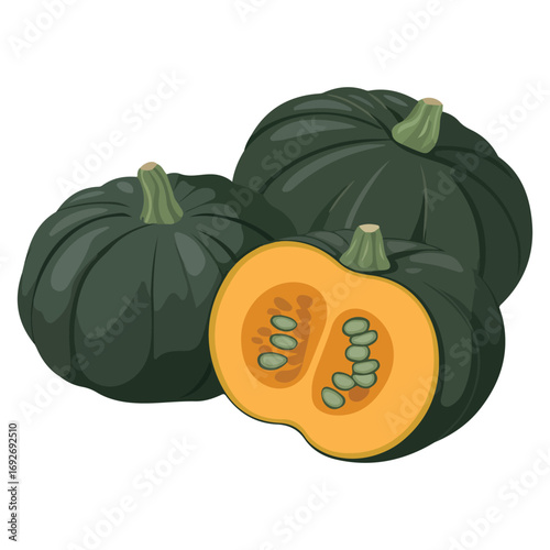 Sweet pumpkin and pumpkin slices fresh vegetables vector illustration on white