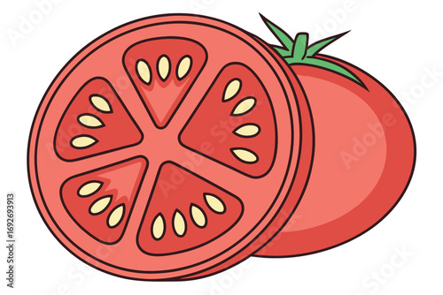 Red Tomato and a Slice of Tomato with Seeds Illustration vegetable food