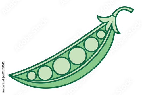 Simple Green Pea Pod Illustration with Multiple Peas vegetable food
