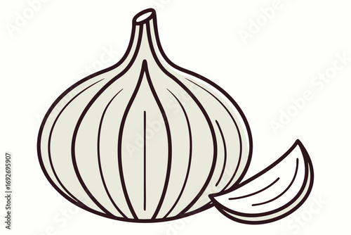 Simple Line Art Illustration of a White Garlic Bulb with a Clove on White herb spice