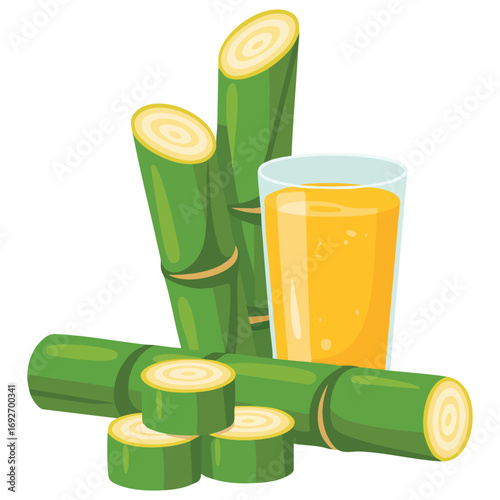 Sugarcane plant with fresh juice isolated vector illustration on white background