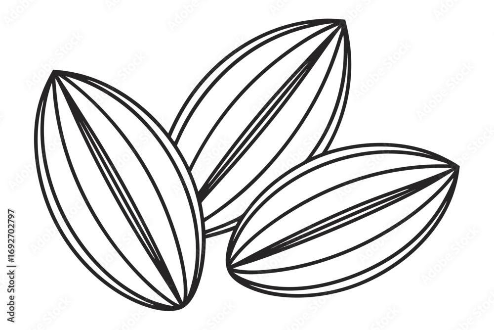 Fototapeta premium Three stylized cocoa beans with linear detail on white background cacao food
