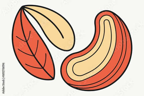 Two Stylized Cashew Nuts With Leaf Illustration On White Background food ingredient