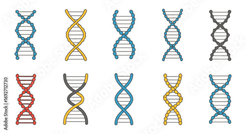 dna strands in various colors and styles shown