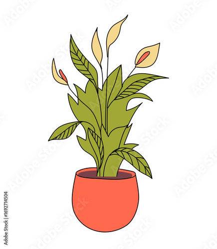 Spathiphyllum, houseplant in a red pot. Flowering plant. Peace lily decorative indoor plant. Flat vector illustration isolated on white background.