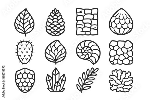 Nature's Scales Icons. Line style icons of scales in nature: scale-covered leaf, pine cone scale, bark with scales, seed pod scale