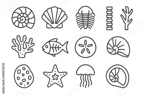 Marine Fossil Icons. Line style icons of marine fossils: ammonite spiral, brachiopod shell, trilobite exoskeleton, crinoid stalk;