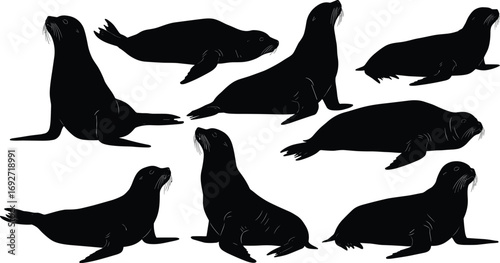 Silhouettes of sea lions, marine animals resting and swimming, wildlife nature, ocean mammals, aquatic animals, sea creatures, animal silhouettes
