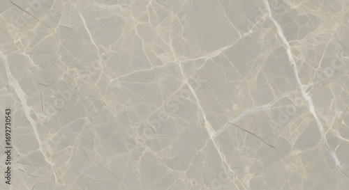 Elegant Light Grey Marble with Delicate White Veining and Natural Stone Texture